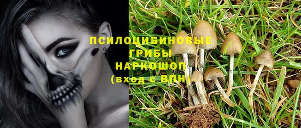 мет Армянск