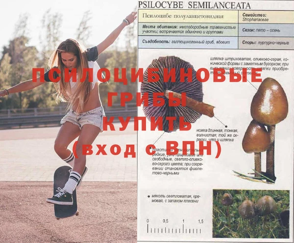 винт Аркадак